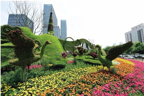 運動與自然的完美融合 專業定制騎自行車健身主題仿真綠雕造型