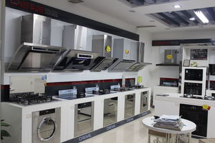 十一黃金周消費(fèi)趨勢分析 中高端綠色智能家電與健康玩具成市場亮點(diǎn)